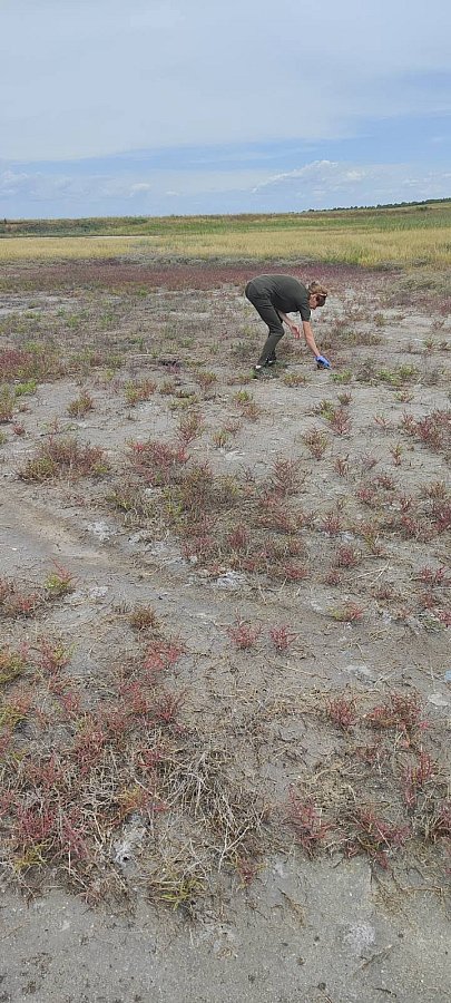 В Николаевской области из-за жары мелеет озеро Солонец-Тузлы (фото) В Николаевской области из-за жары мелеет озеро Солонец-Тузлы (фото)