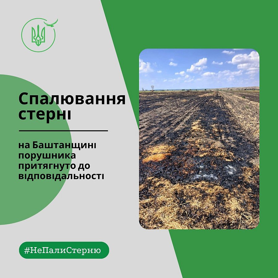 На Баштанщине арендатора оштрафовали за сжигание стерни На Баштанщине арендатора оштрафовали за сжигание стерни