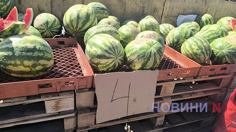 В Николаеве арбузы начали продавать по 4 гривны за килограмм В Николаеве арбузы начали продавать по 4 гривны за килограмм