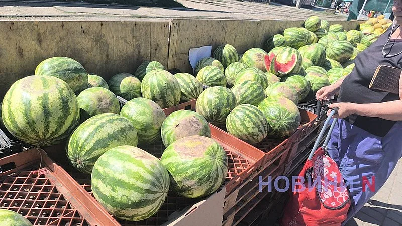 В Николаеве арбузы начали продавать по 4 гривны за килограмм В Николаеве арбузы начали продавать по 4 гривны за килограмм