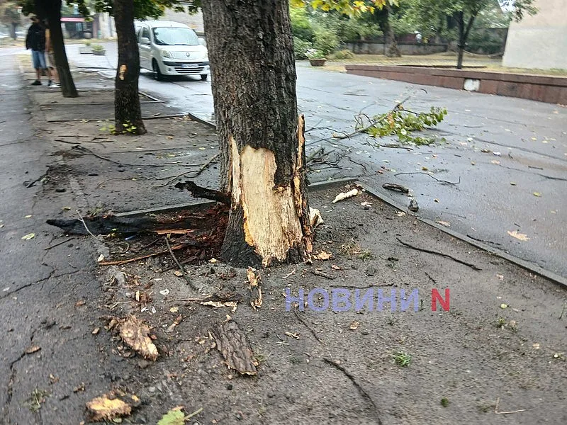 В Николаеве «Мицубиси» на мокрой дороге врезался в дерево (фото) В Николаеве «Мицубиси» на мокрой дороге врезался в дерево (фото)