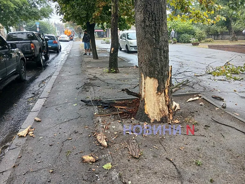 В Николаеве «Мицубиси» на мокрой дороге врезался в дерево (фото) В Николаеве «Мицубиси» на мокрой дороге врезался в дерево (фото)