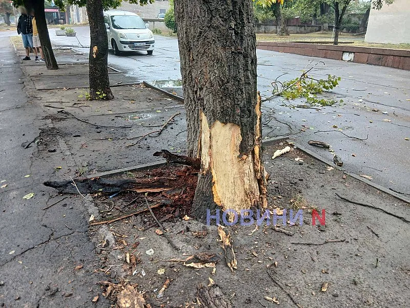 В Николаеве «Мицубиси» на мокрой дороге врезался в дерево (фото) В Николаеве «Мицубиси» на мокрой дороге врезался в дерево (фото)