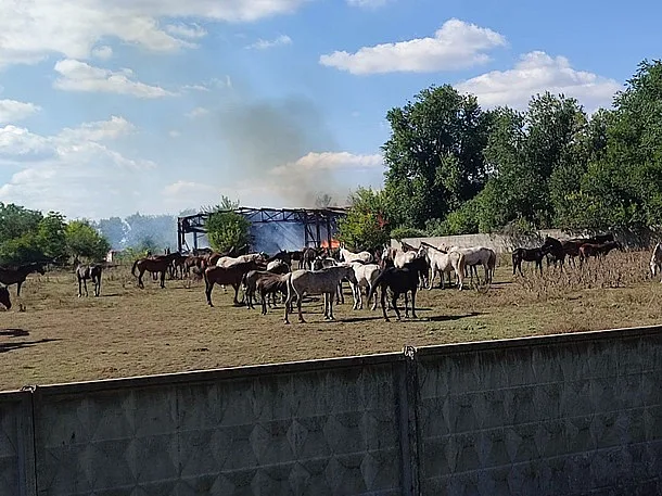 Армия РФ во второй раз ударила по конному заводу (фото) Армия РФ во второй раз ударила по конному заводу (фото)