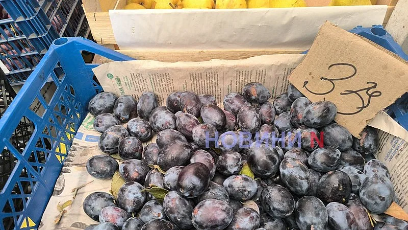 Сентябрьский рынок в Николаеве: как изменились цены на продукты за месяц Сентябрьский рынок в Николаеве: как изменились цены на продукты за месяц