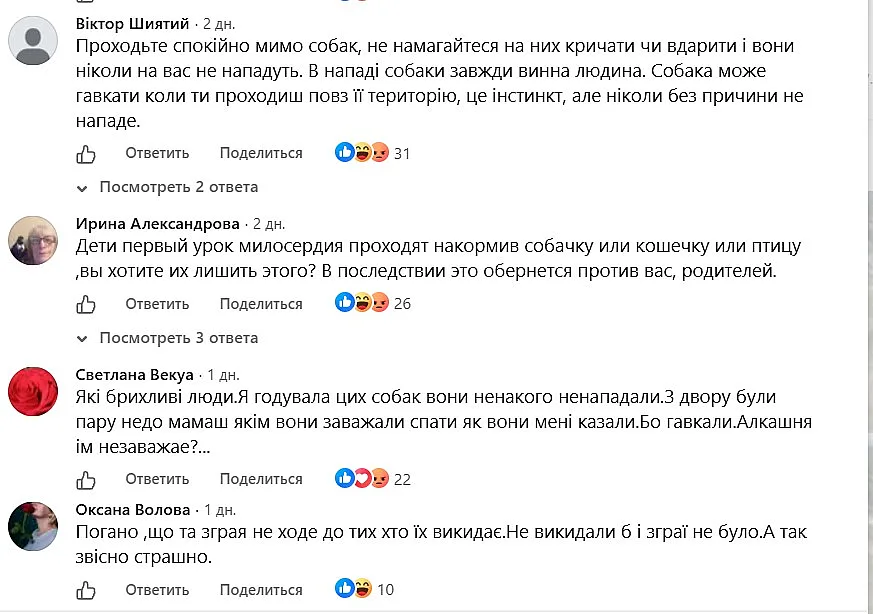 В центре Николаева образовалась огромная стая собак: жители говорят, что они агрессивные В центре Николаева образовалась огромная стая собак: жители говорят, что они агрессивные
