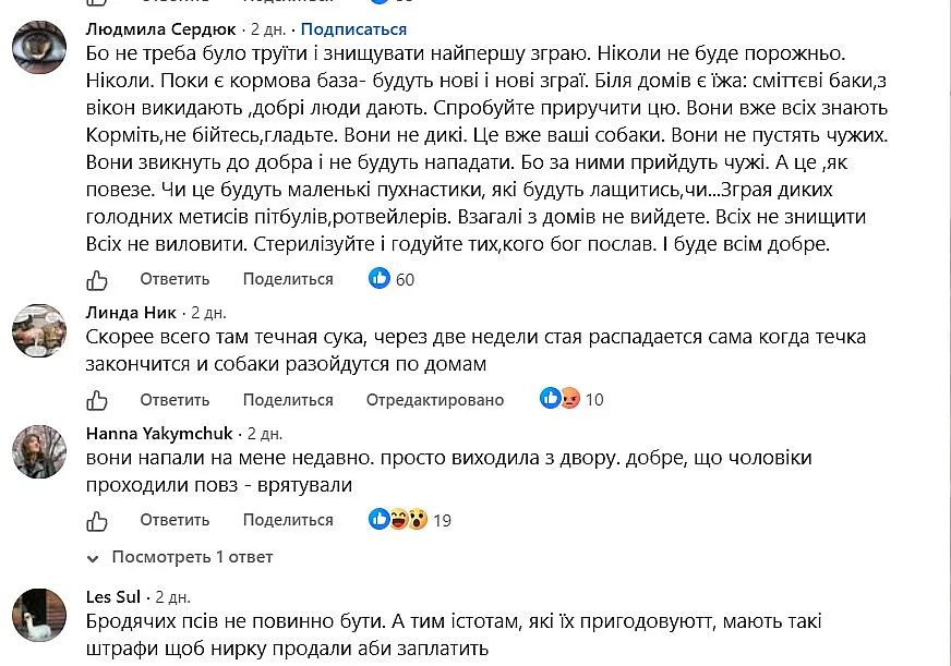 В центре Николаева образовалась огромная стая собак: жители говорят, что они агрессивные В центре Николаева образовалась огромная стая собак: жители говорят, что они агрессивные