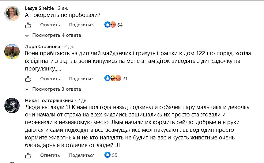 В центре Николаева образовалась огромная стая собак: жители говорят, что они агрессивные В центре Николаева образовалась огромная стая собак: жители говорят, что они агрессивные