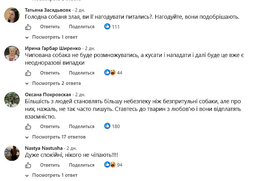 В центре Николаева образовалась огромная стая собак: жители говорят, что они агрессивные В центре Николаева образовалась огромная стая собак: жители говорят, что они агрессивные