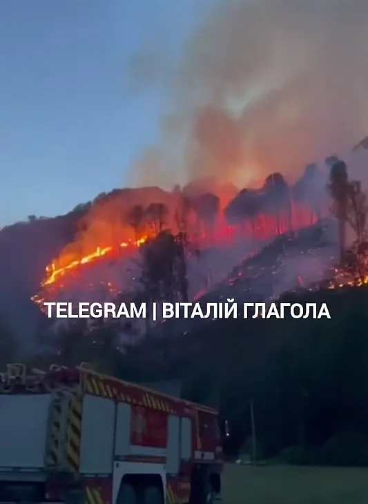 Масштабный лесной пожар на Мукачевщине: тушение осложняют рельеф и нехватка воды (видео) Масштабный лесной пожар на Мукачевщине: тушение осложняют рельеф и нехватка воды (видео)