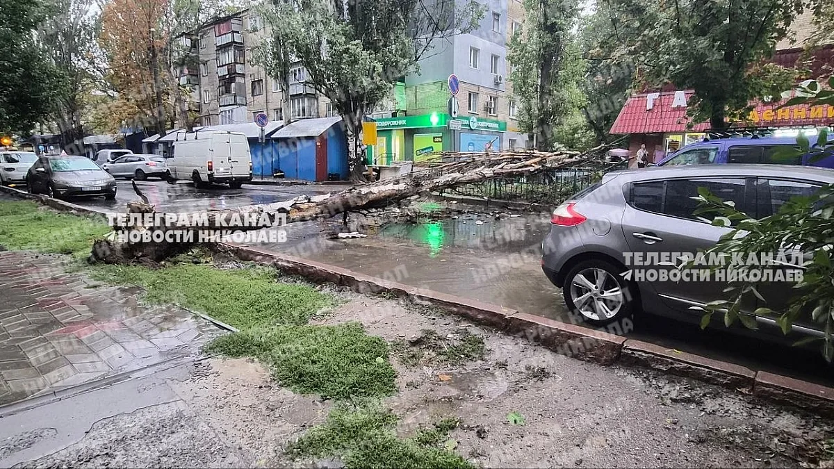 Упавшее дерево заблокировало движение на одной из улиц Николаева (фото) Упавшее дерево заблокировало движение на одной из улиц Николаева (фото)