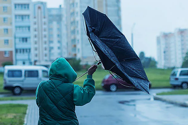 Северо-восточный ветер усилится уже в ближайшие часы: в Николаеве и области обновили штормовое предупреждение Северо-восточный ветер усилится уже в ближайшие часы: в Николаеве и области обновили штормовое предупреждение