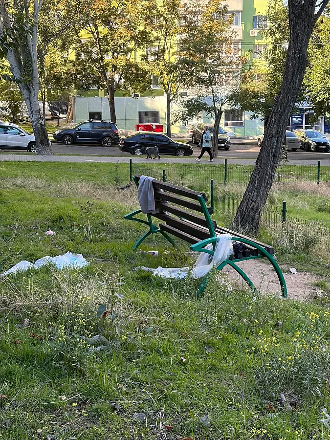 Сломанный забор и заросшая территория: в Николаеве пожаловались на состояние детской площадки Сломанный забор и заросшая территория: в Николаеве пожаловались на состояние детской площадки