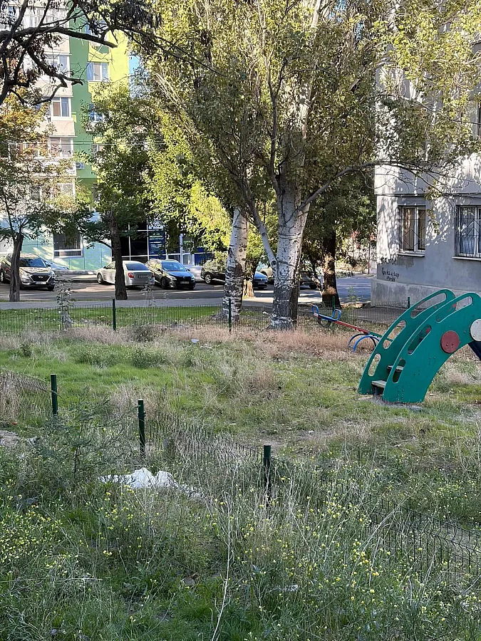 Сломанный забор и заросшая территория: в Николаеве пожаловались на состояние детской площадки Сломанный забор и заросшая территория: в Николаеве пожаловались на состояние детской площадки