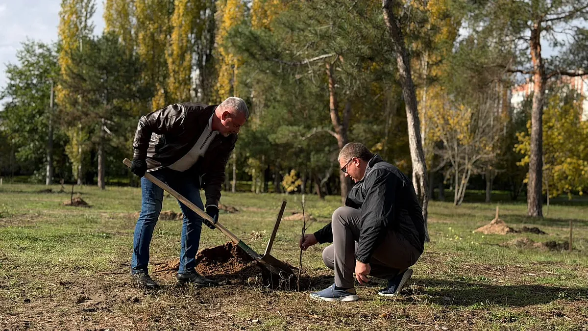 В николаевском парке «Лески» высадили 32 молодых дуба В николаевском парке «Лески» высадили 32 молодых дуба