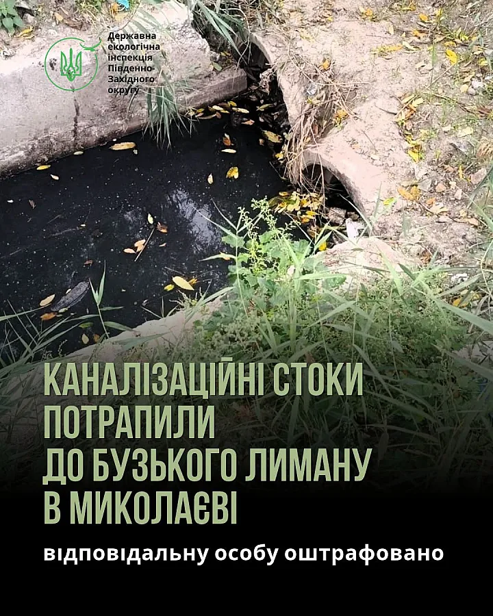 В Николаеве из-за попадания канализационных стоков в лиман наказали сотрудника «водоканала» В Николаеве из-за попадания канализационных стоков в лиман наказали сотрудника «водоканала»