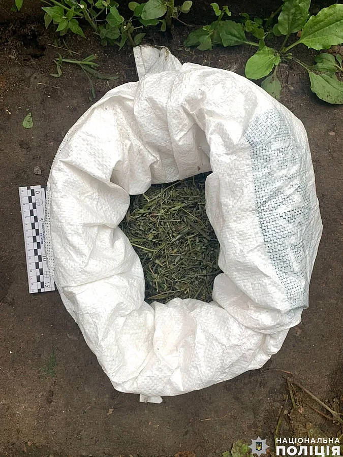 Угрожал полицейским во время обыска: житель Николаевской области получил девять лет тюрьмы Угрожал полицейским во время обыска: житель Николаевской области получил девять лет тюрьмы