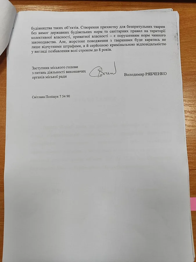 Собаки бросились на школьников на территории школы в Николаевской области: в горсовете предложили жителям самим отлавливать животных Собаки бросились на школьников на территории школы в Николаевской области: в горсовете предложили жителям самим отлавливать животных