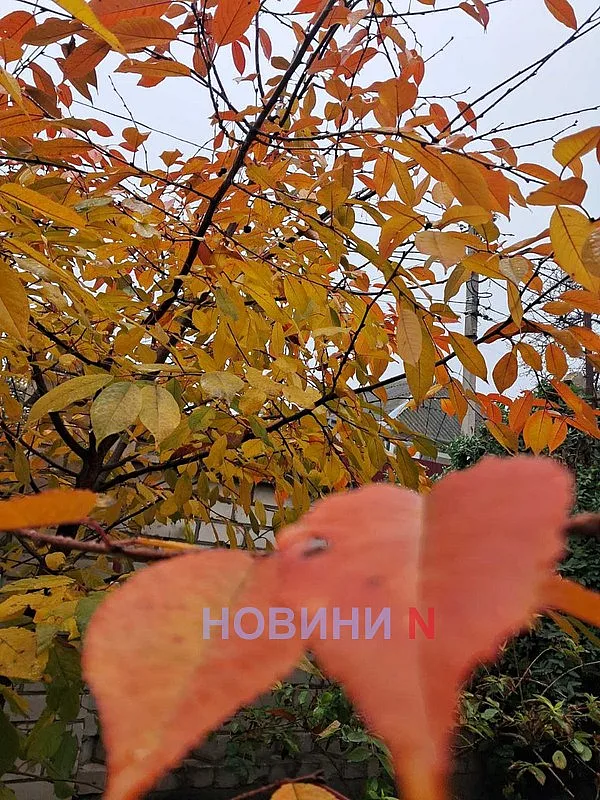 Погода в Николаеве и области 26 октября: до +18 градусов и без осадков Погода в Николаеве и области 26 октября: до +18 градусов и без осадков