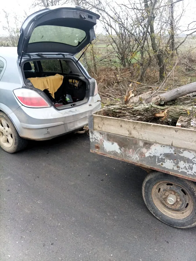 На Николаевщине мужчину оштрафовали за дрова без документов На Николаевщине мужчину оштрафовали за дрова без документов