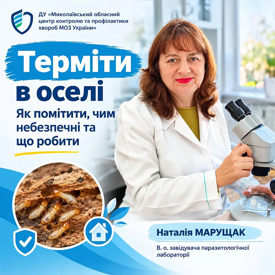 Терміти Миколаївської області: як розпізнати небезпечних комах у власному будинку Терміти Миколаївської області: як розпізнати небезпечних комах у власному будинку