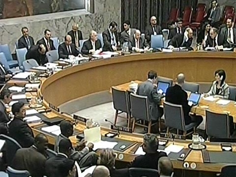 Совбез ООН единогласно принял резолюцию по авиакатастрофе "Боинга"