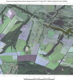 Порошенко решил предоставить международным экспертам спутниковые снимки места падения «Боинга-777»