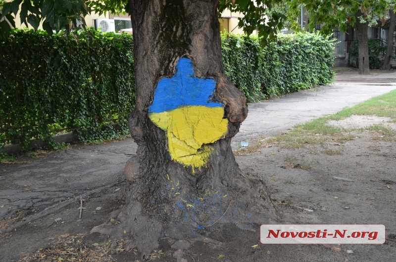 В Николаеве уже красят деревья в цвета государственного флага