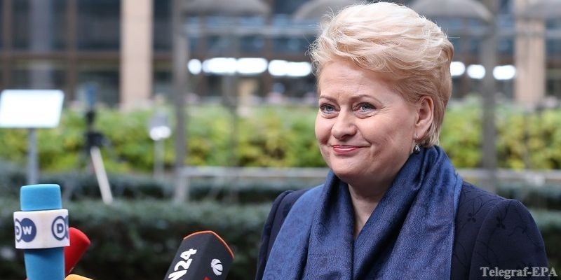Литва призывает ЕС предоставить Украине военную поддержку