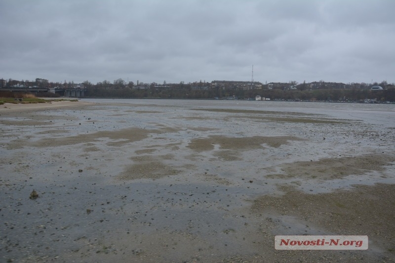 Проблема века: расчистят ли власти пляжи Николаева?