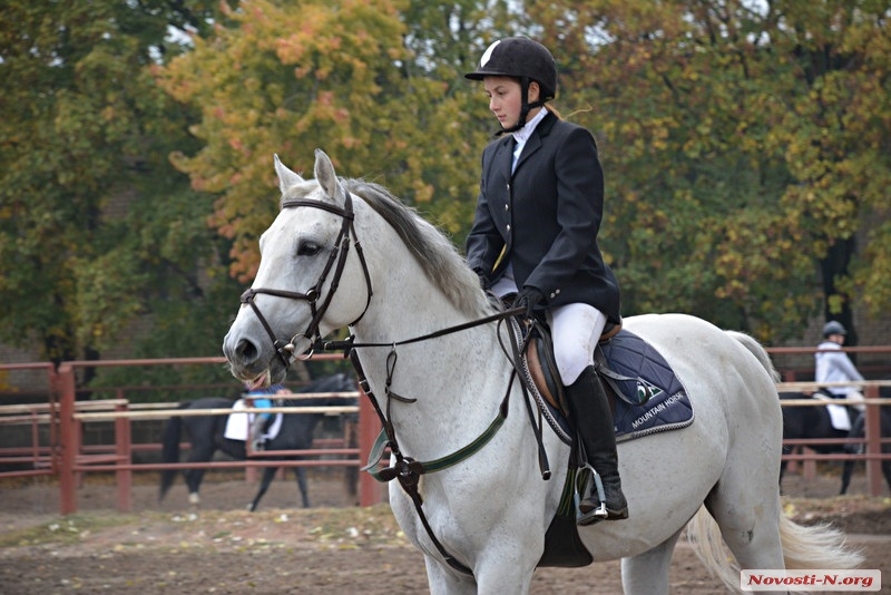 В Николаеве проходит открытый чемпионат по конному спорту. ФОТО