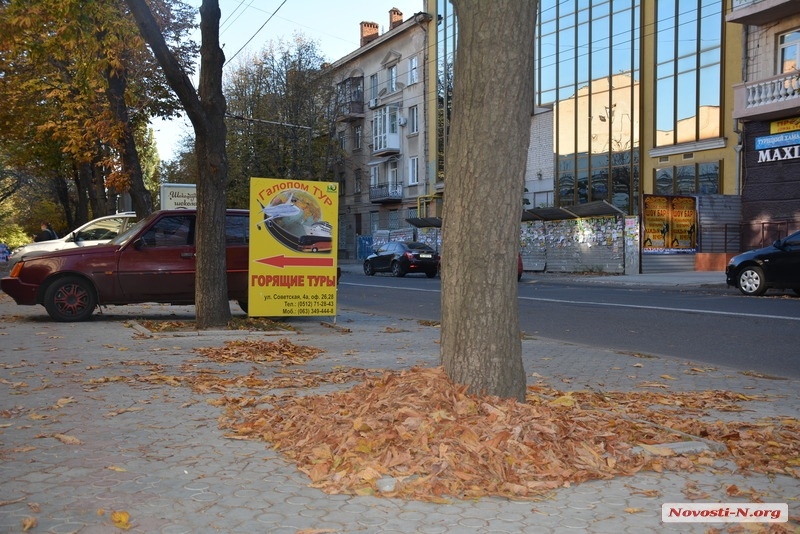Центр Николаева засыпало листьями — убирать никто не спешит. ФОТО