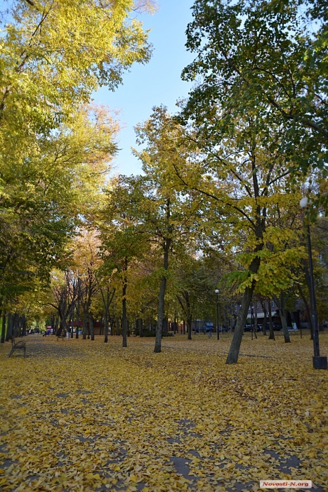 Осень в Николаеве. ФОТОРЕПОРТАЖ