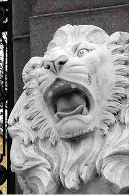 Ночью неизвестные вандалы повредили скульптуру льва возле входа в Николаевский зоопарк 