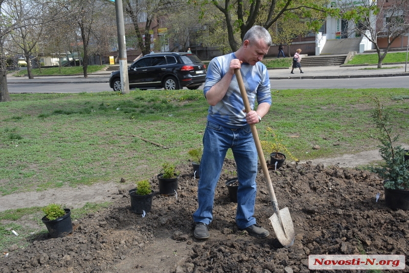 В центре Николаева активисты благоустроили эко-бульвар — матрицу развития города