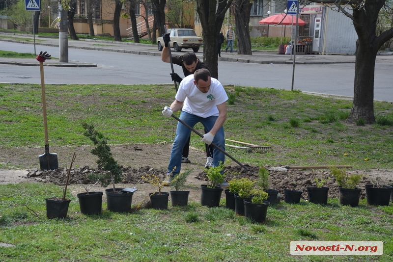 В центре Николаева активисты благоустроили эко-бульвар — матрицу развития города