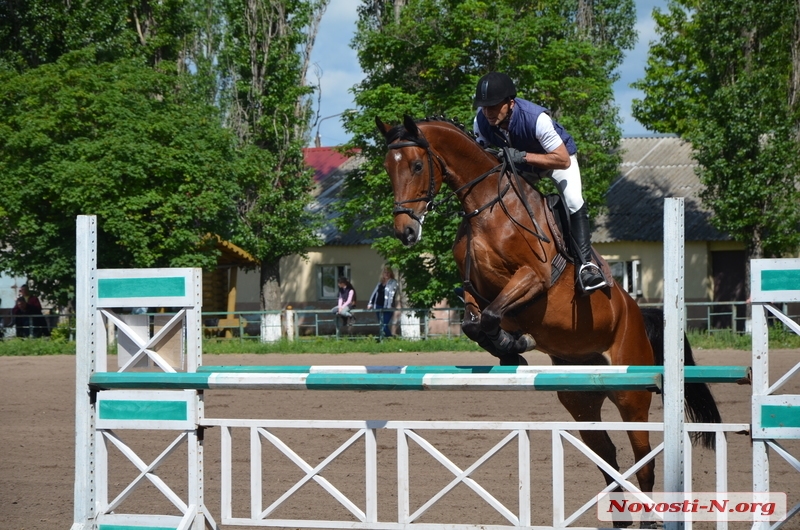 Грациозность в действии: в Николаеве стартовал чемпионат по конному спорту