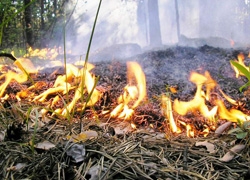 Николаевские спасатели четырнадцать раз тушили пожары "под открытым небом"