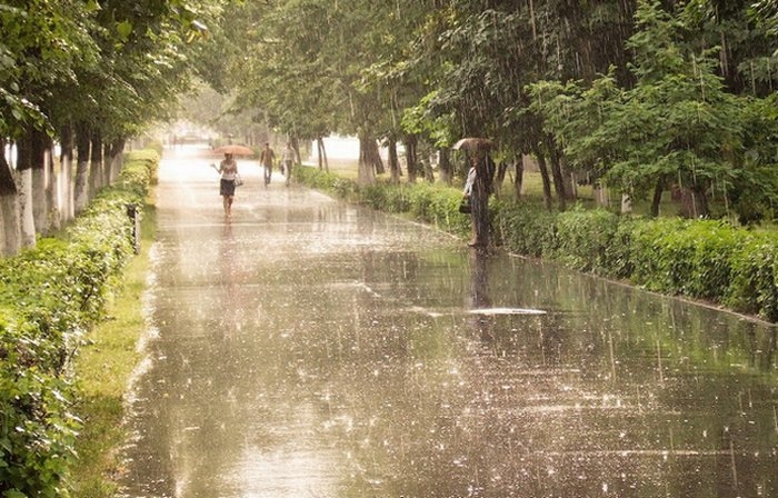 Дождь в Украине, местами даже сильный, все еще в прогнозе