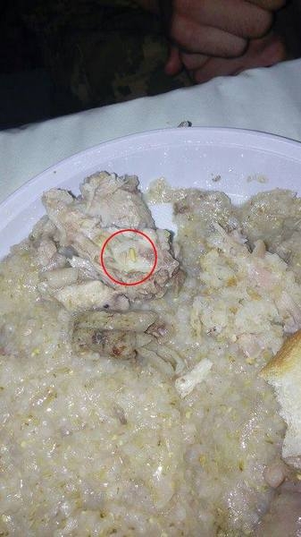 Николаевских солдат кормят едой с тараканами и червями: 8 бойцов попали в больницу