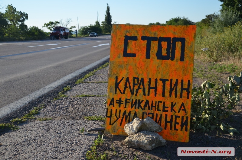 Ввоз свинины в Николаев со стороны Одессы, Новой Одессы, Баштанки и Херсона запрещен