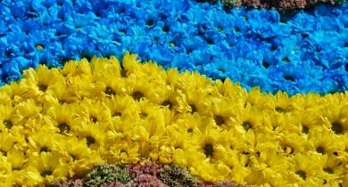 На месте памятника Ленину в Николаеве создадут цветочный флаг Украины
