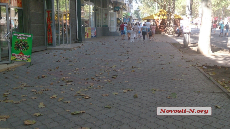 День независимости в Николаеве продолжается: горожане развлекают себя сами и гуляют по главной улице. ФОТОРЕПОРТАЖ