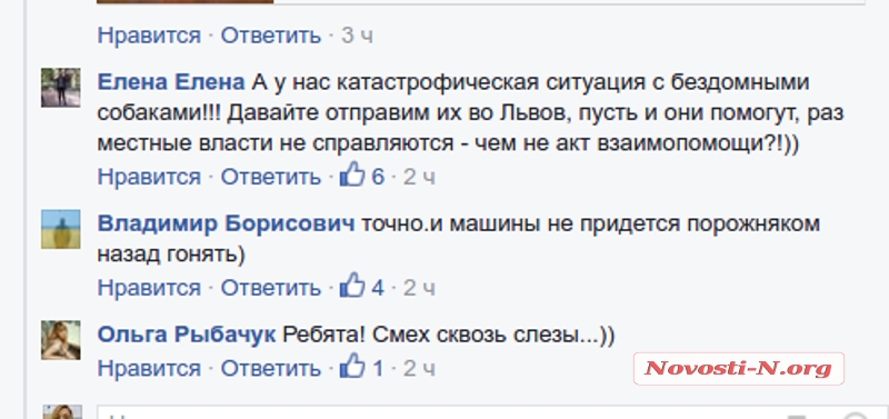 Николаевцы предлагают отправлять во Львов бездомных собак: реакция на «львовский мусор» в Николаеве