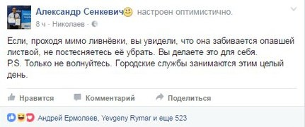 Пользователи соцсетей активно обсуждают предложение мэра Сенкевича чистить ливневки самостоятельно