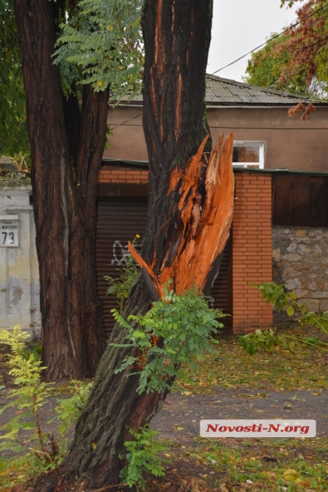 Последствия непогоды в Николаеве: поваленные деревья, оборванные сети и перекрытые улицы. ФОТО. ОБНОВЛЯЕТСЯ