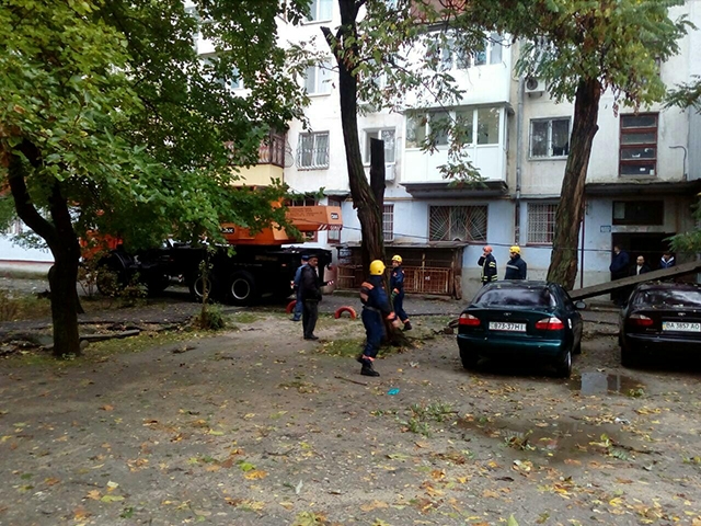  В Николаеве сильный ветер валил на автомобили деревья и столбы. ФОТО