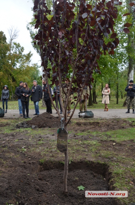 Как в парке «Победа» прошел День защитника Украины. ФОТОРЕПОРТАЖ