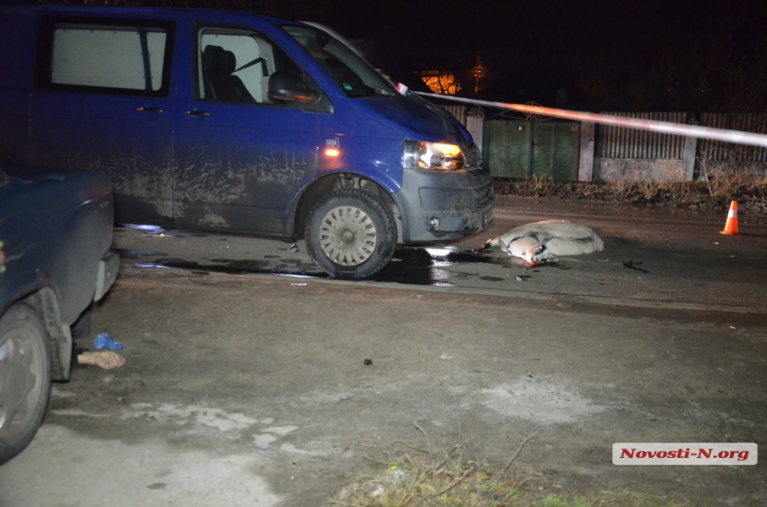 В Николаеве микроавтобус насмерть сбил пешехода
