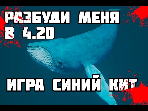 Николаевские полицейские рассказали об играх в соцсетях, которые приводят к суициду подростков